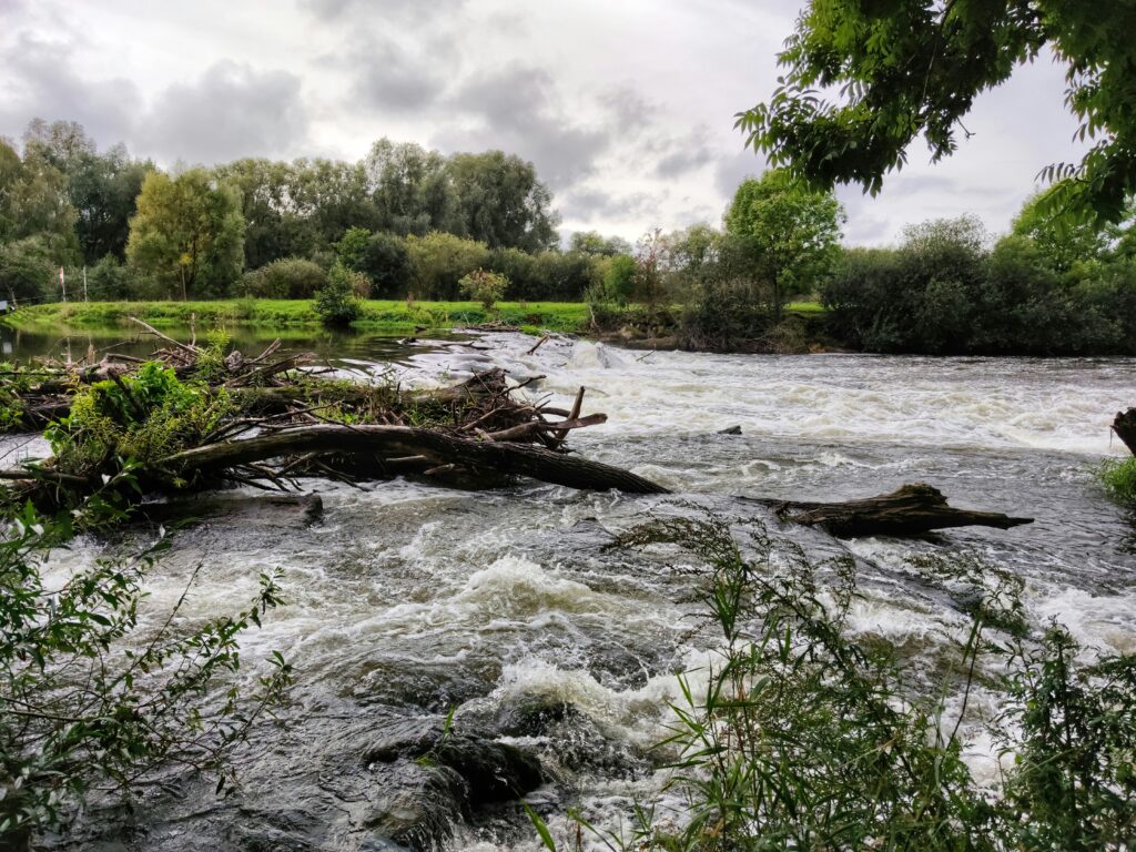 Nature's Role in Flood Mitigation